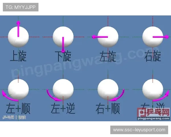乒乓马龙旋转弧圈立体——探秘乒乓球中的旋转艺术与马龙的卓越技巧